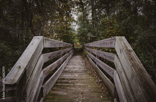 Wooden Bridge © Seth