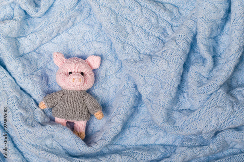 New Year knitted toy pig on a knitted textured background photo