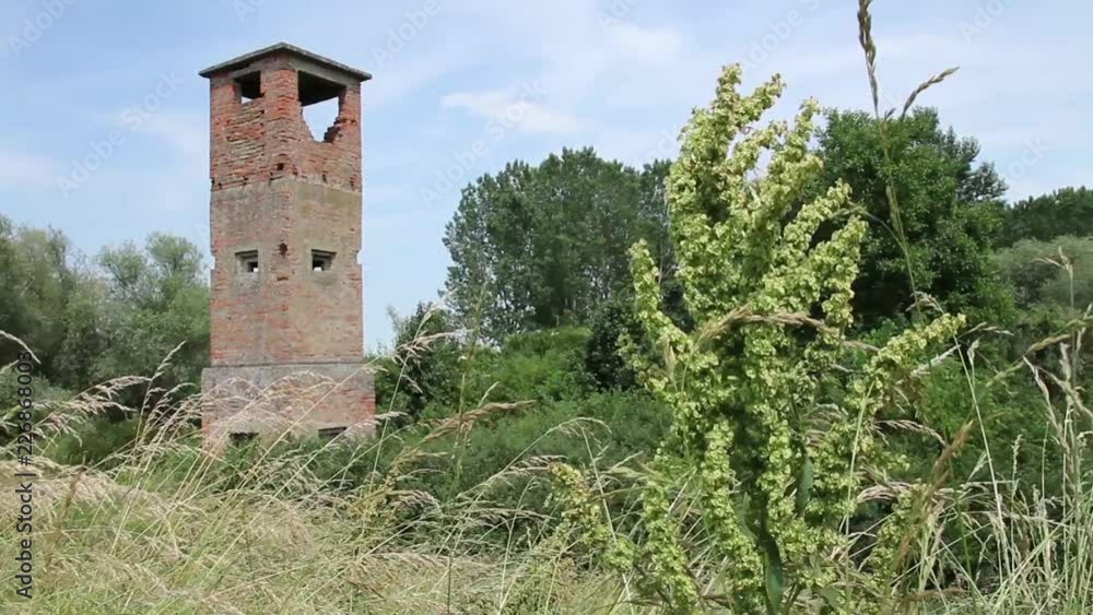 2 in 1 Ancient Abandoned Lookout Tower Overgrown Among Grass Vegetation 2 in 1 Ancient Abandoned Lookout Tower Overgrown Among Grass Vegetation