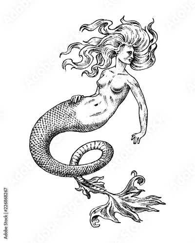 Mermaid woman. Sea siren. Antique Mythical Greek monster. Mythological animal. Ocean symbol. Fantastic creatures in the old vintage style tattoo. Engraved hand drawn old sketch.