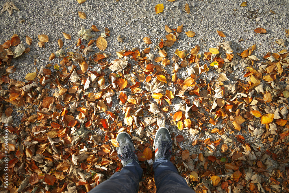 Φωτογραφία Top view of a man stands on sunny countryside road in front of the gold and red colored autumn leaves