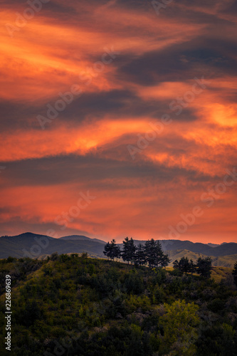a group of fir trees on the peak of a hill against a rich colored sky full with clouds in the morning at sunrise