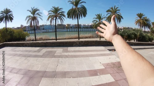 POV, palm trees in Seville
