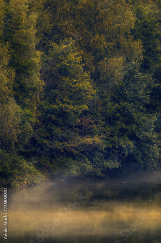 Detaill of a forest on the shore of a lake at the beginning of autumn after a rain with steam coming from the water