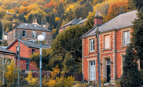 A collection of houses based in the forest town of Matlock Bath in Yorkshire, England, surrounded by trees photo