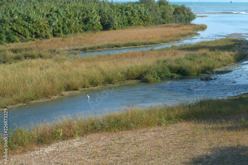 landscape with river,water,nature,bird,green,view