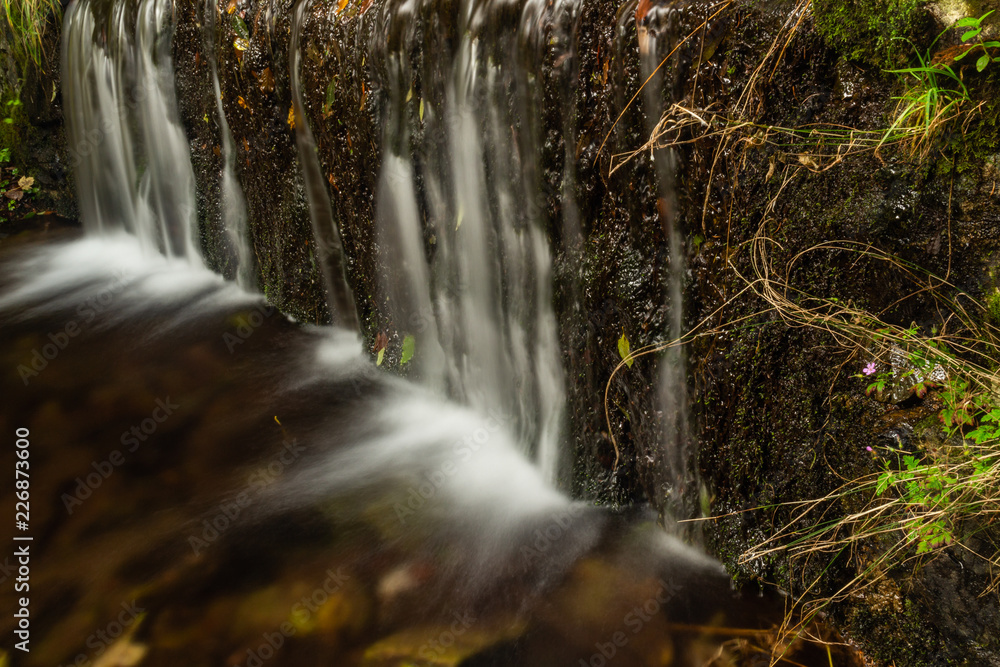 Fototapeta Kolorowy zielony las z drzewami dryluje wodospad i kaskadę. Natury tło z piękną zamazaną siklawą.