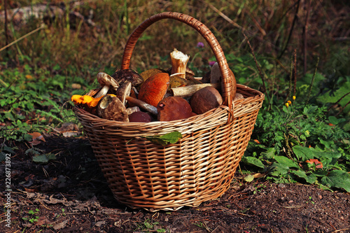 wicker basket with mushrooms