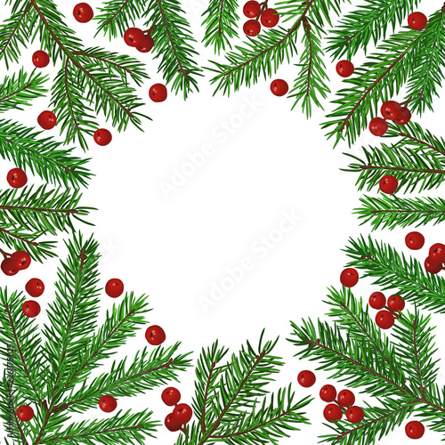 Background with realistic green fir tree branch and christmas berries. Place for text, congratulation. Christmas, New Year symbol.