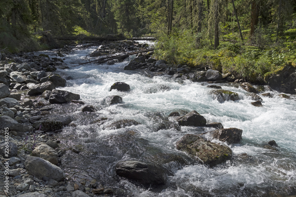 Altai Mountains. The Shawla River. Siberia, Russia. Altai Mountains. The Shawla River. Siberia, Russia.
