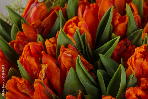 Orange tulips bouquet