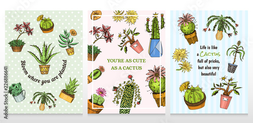 Set of cards cactus and cute template Succulents. Stickers for girls. Mexican houseplants posters. kawaii cacti. engraved hand drawn. vector collection vintage style.