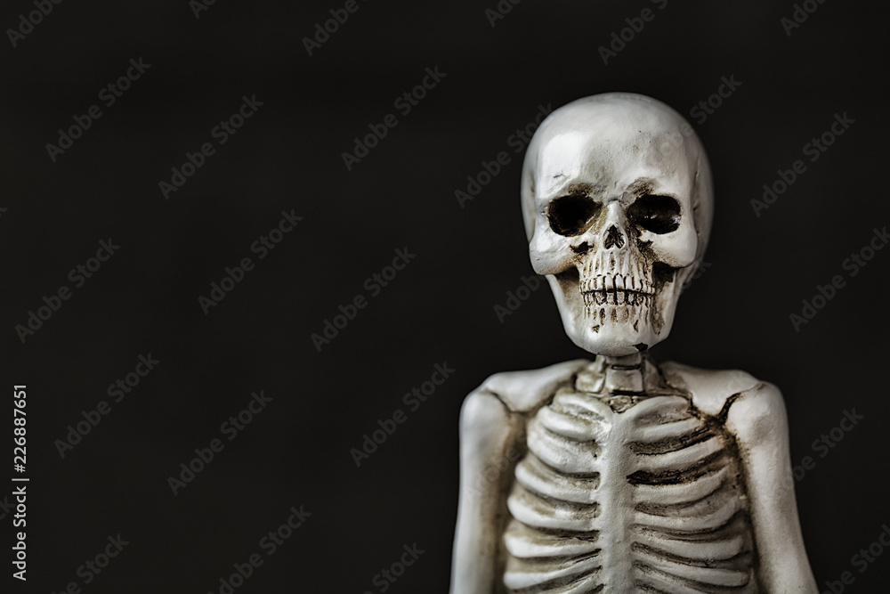 Halloween character Halloween Ghoul Halloween character Halloween Ghoul