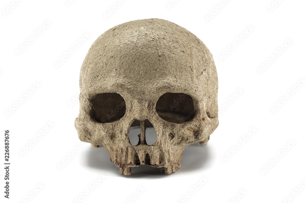 Halloween skull isolated on white background Halloween skull isolated on white background