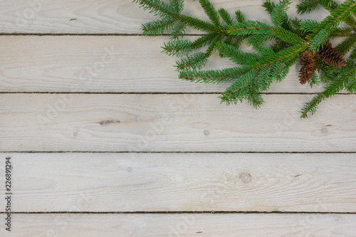 Holiday border of greenery in the upper right corner with copy space