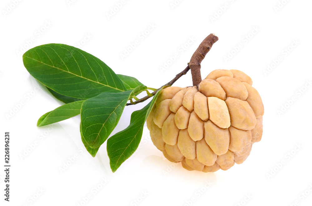 Fototapeta premium Sugar Apple (custard apple, Annona, sweetsop) on white background
