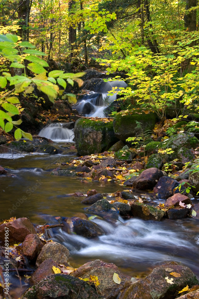 Fototapeta premium Beautiful Waterfall in Autumn with Yellow Leaves