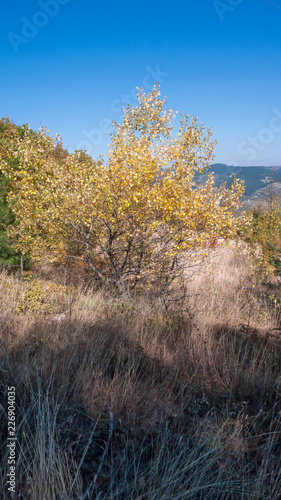 Amazing Autumn landscape Ruen Mountain- northern part of Vlahina Mountain, Kyustendil Region, Bulgaria
