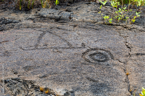 Petroglyphs in lava rock at Pu'uloa along Chain of Craters road, in volcano National Park on the island of Hawaii. Carvings are 400-700 years old. photo