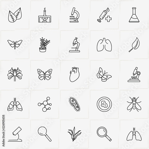 Biology line icon set with fly, single cell disease and seaweed