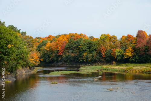 Looking down river at the fall foliage-1