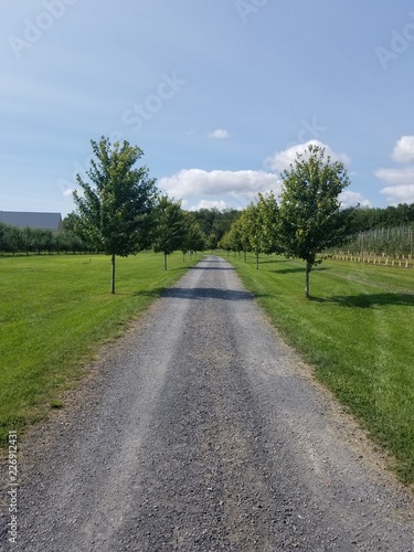 open gravel road