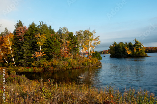 Fototapeta Naklejka Na Ścianę i Meble -  Fall foliage on a peninsula with an island nearby on a lake