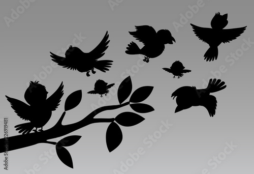 Silhouette design of birds