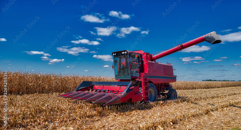 Obraz premium sexy tractor