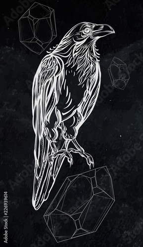 Raven. Vector illustration isolated on black background. Detailed drawing of a bird