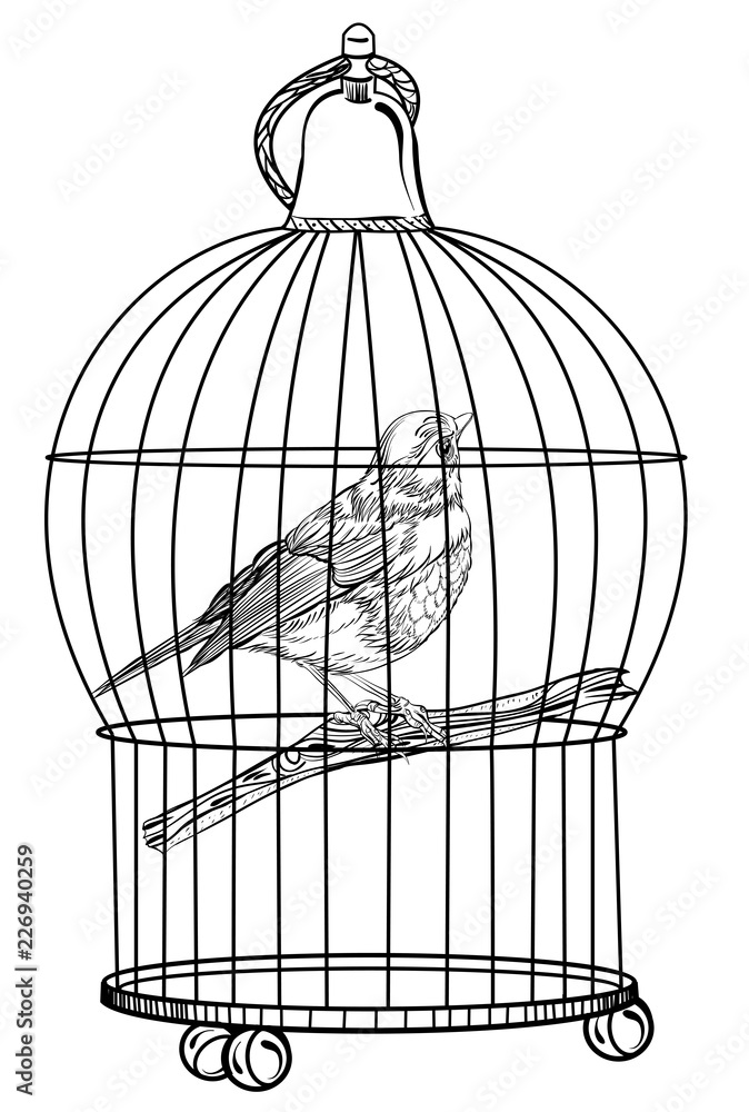 bird in the cage. Vector illustration isolated on white background.  Detailed drawing of a bird Stock Vector | Adobe Stock