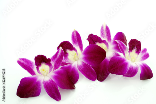 Fototapeta Naklejka Na Ścianę i Meble -  Thai Orchid flowers