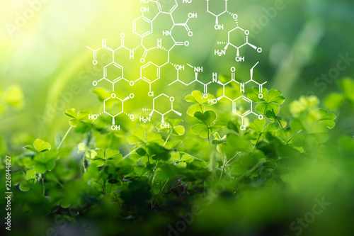 Plants background with biochemistry structure. photo