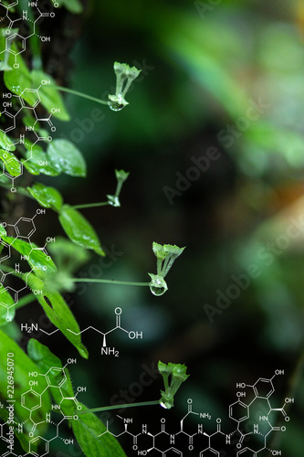 Plants background with biochemistry structure.