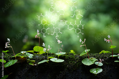 Fotografiet Plants background with biochemistry structure.