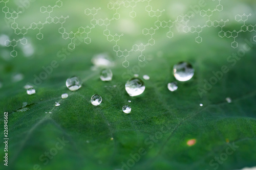 Plants background with biochemistry structure.