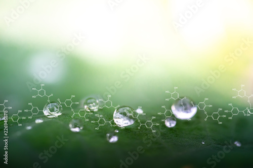 Plants background with biochemistry structure.