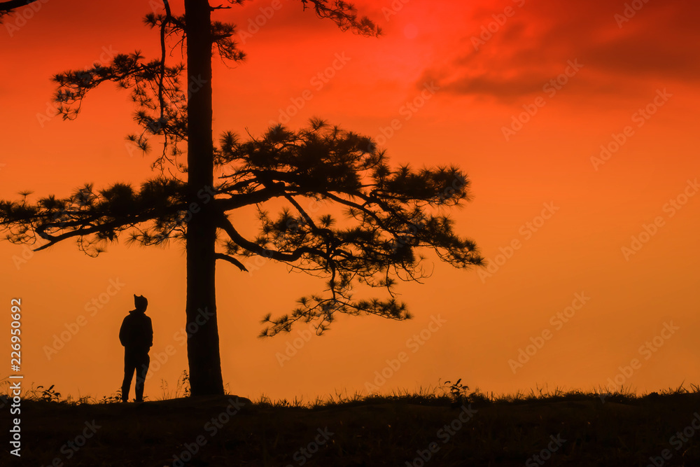 Silhouette of tree with the man on red sky background.