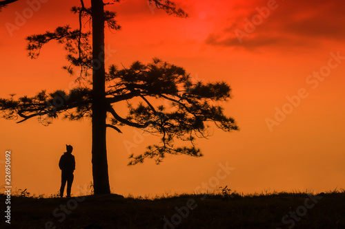 Silhouette of tree with the man on red sky background.