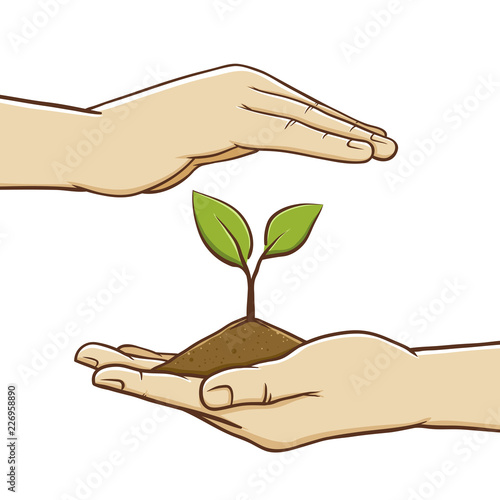 Pair of Hand Holding Soil And Plant