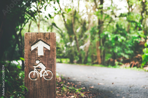 Focus bike or bicycle lane sign pole in green tree with bokeh sunlight background.