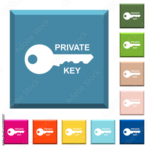 Private key white icons on edged square buttons