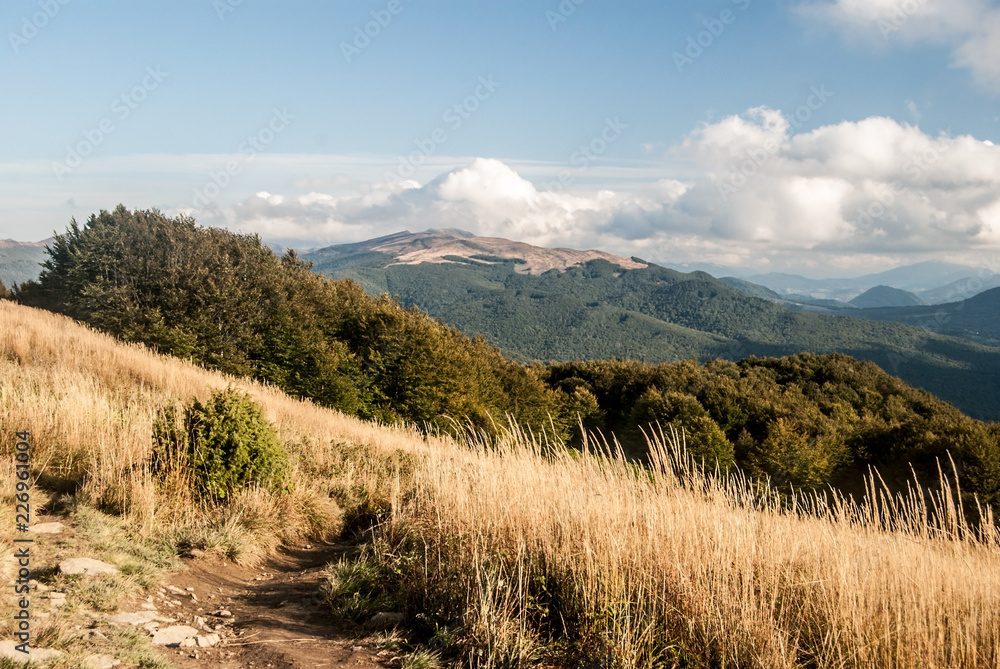 Obraz premium autumn on Polonina Carynska in Bieszczady mountains in Poland