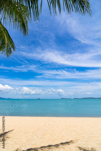 Fototapeta Naklejka Na Ścianę i Meble -  A palm branches over beach with golden sand. The turquoise sea. Samui island, Thailand