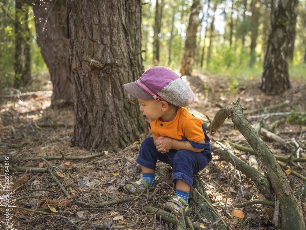 Cute smiling boy wearing hat in the autumn forest sitting near of the mushroom. Cute smiling boy wearing hat in the autumn forest sitting near of the mushroom.