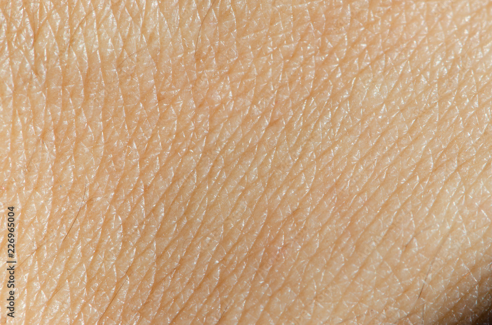 Human skin texture,macro view. Human skin texture,macro view.