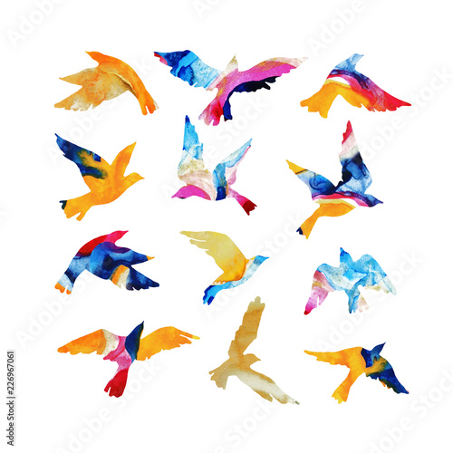 Artistic watercolor flying bird silhouettes filled with mabling textures, fluid bright colors, isolated on white background