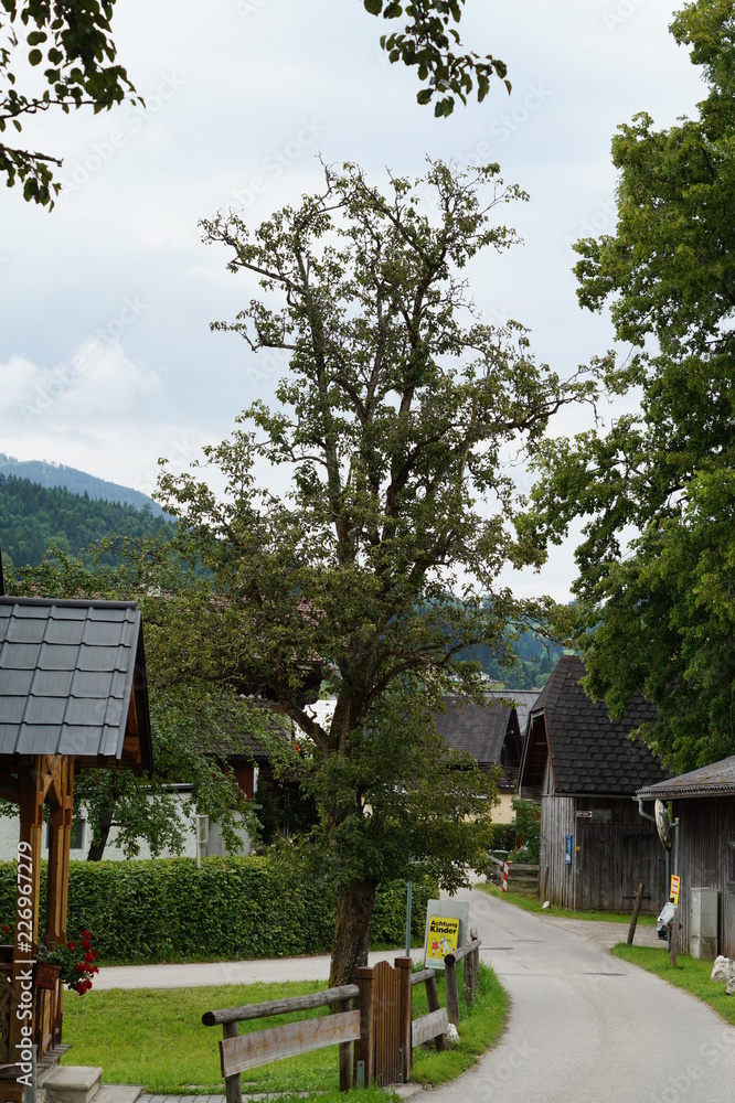 roofs of buildings made of metal, wood close-up, decorative wooden low hedge and hedge, a narrow street on the background of high mountains in the Austrian town roofs of buildings made of metal, wood close-up, decorative wooden low hedge and hedge, a narrow street on the background of high mountains in the Austrian town