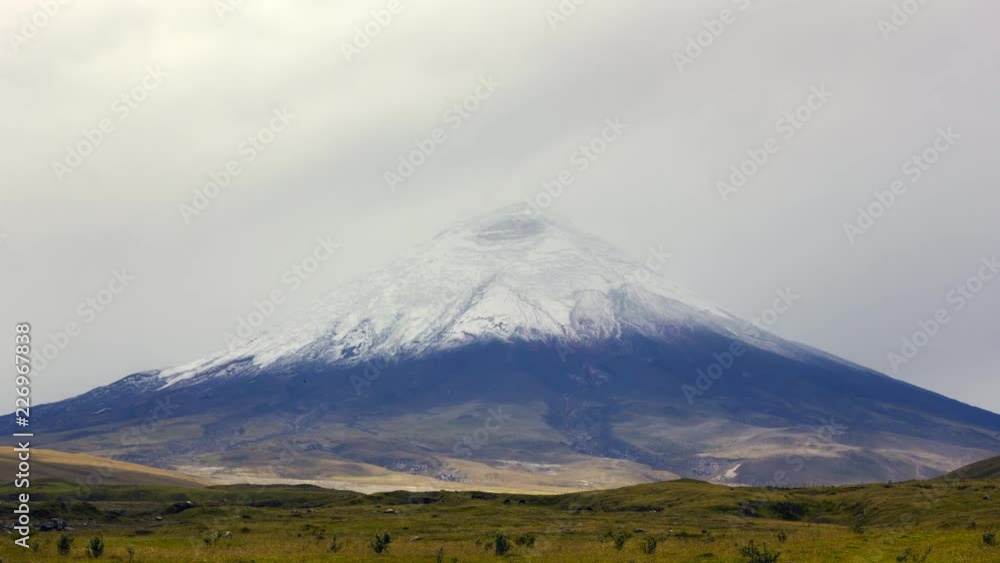 Cotopaxi Volcano time-lapse. Emerging from the mist after a fresh snowfall. A group of cattle in the distance. The second highest mountain in Ecuador, 5897m. Cotopaxi Volcano time-lapse. Emerging from the mist after a fresh snowfall. A group of cattle in the distance. The second highest mountain in Ecuador, 5897m.