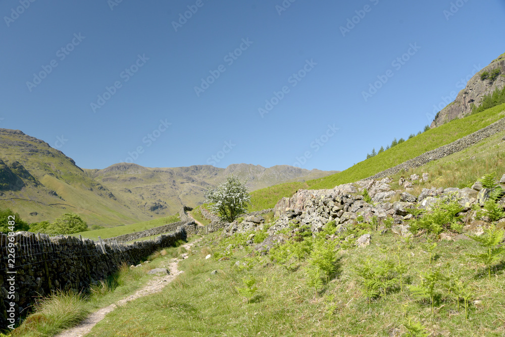 Fototapeta premium Crinkle Crags at head of Mickleden valley, Lake District